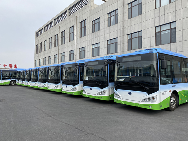 Shanghai SUNLONG 88 SLK6109 and SLK6819 pure electric city buses were successfully delivered