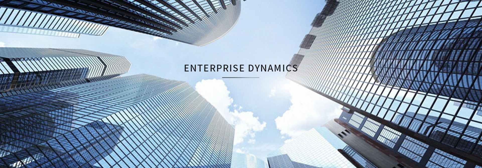 Enterprise dynamics